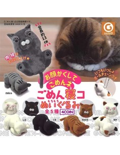 CAPSULA RANDOM / Peluche...