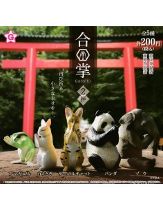 CAPSULA RANDOM / Animales...