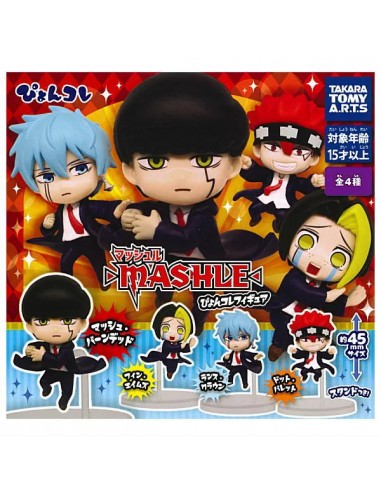 CAPSULA RANDOM / Mashle - Pyoncole...