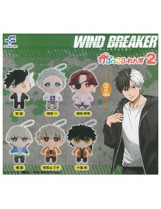 CAPSULA RANDOM / Wind...