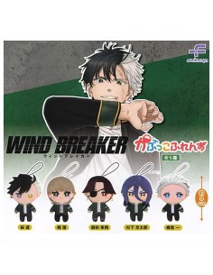 CAPSULA RANDOM / Wind...