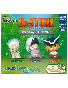 CAPSULA RANDOM / Dr. Stone...